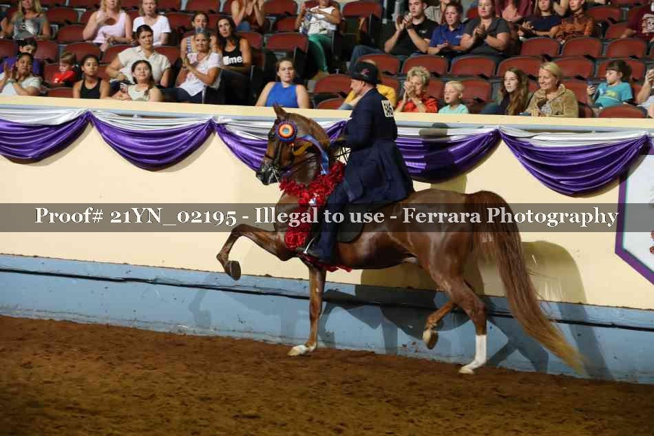 Proof 21YN_02195