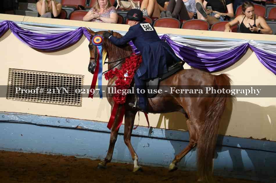 Proof 21YN_02197