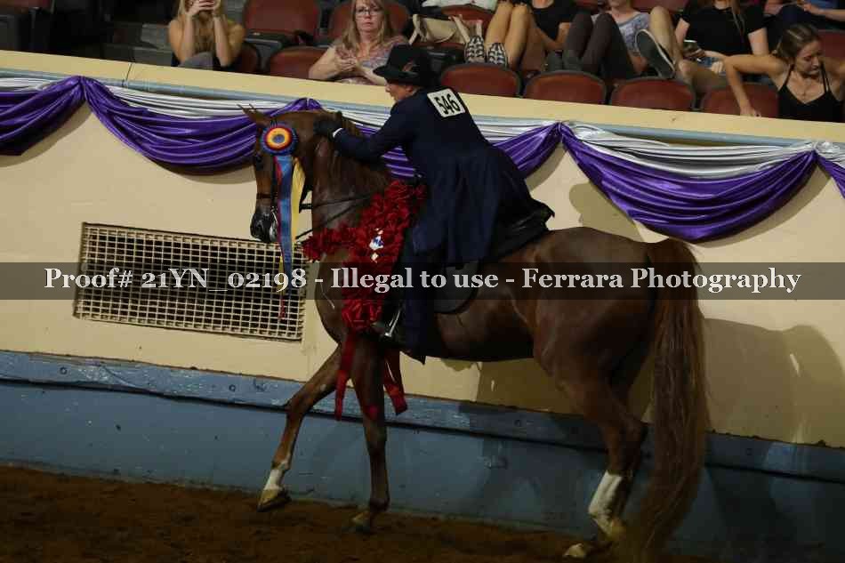Proof 21YN_02198