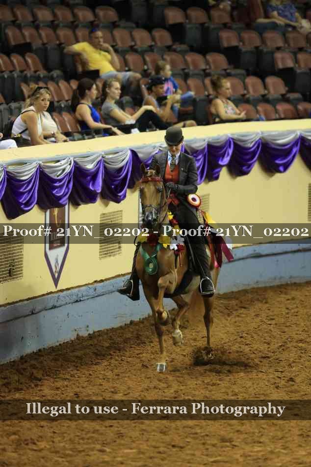 Proof 21YN_02202