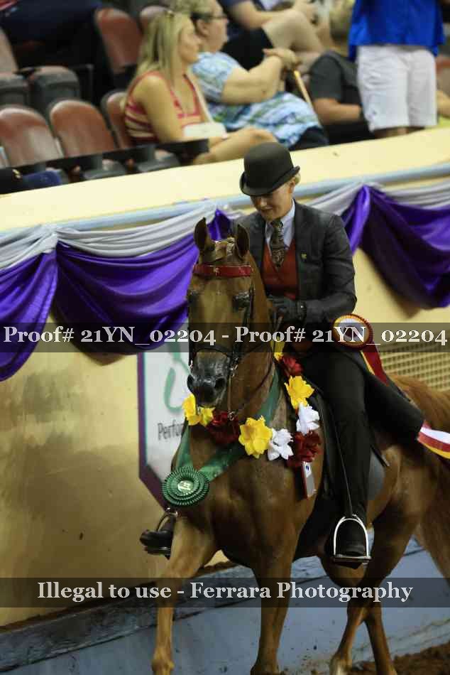 Proof 21YN_02204