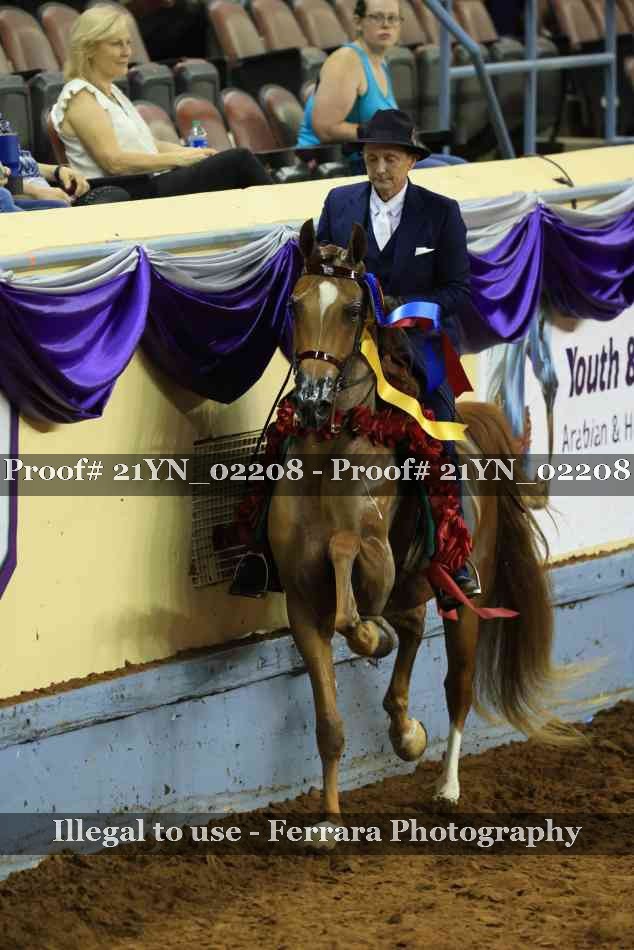 Proof 21YN_02208