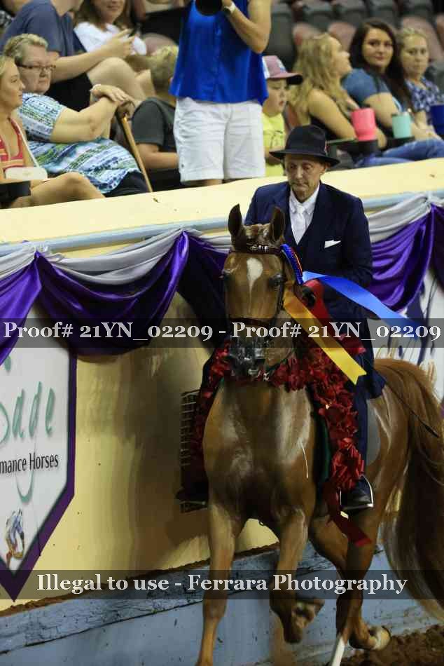 Proof 21YN_02209