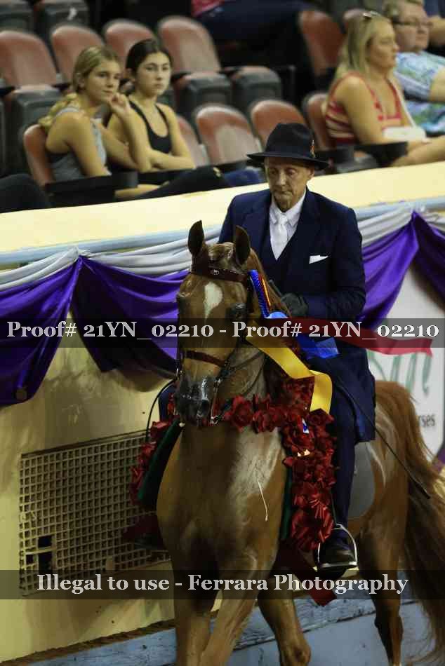 Proof 21YN_02210