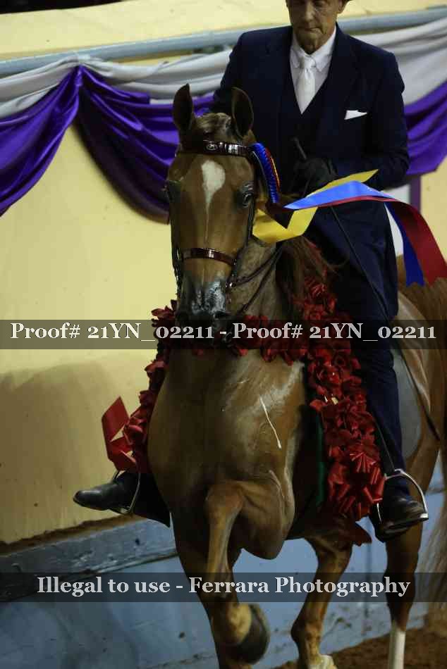 Proof 21YN_02211