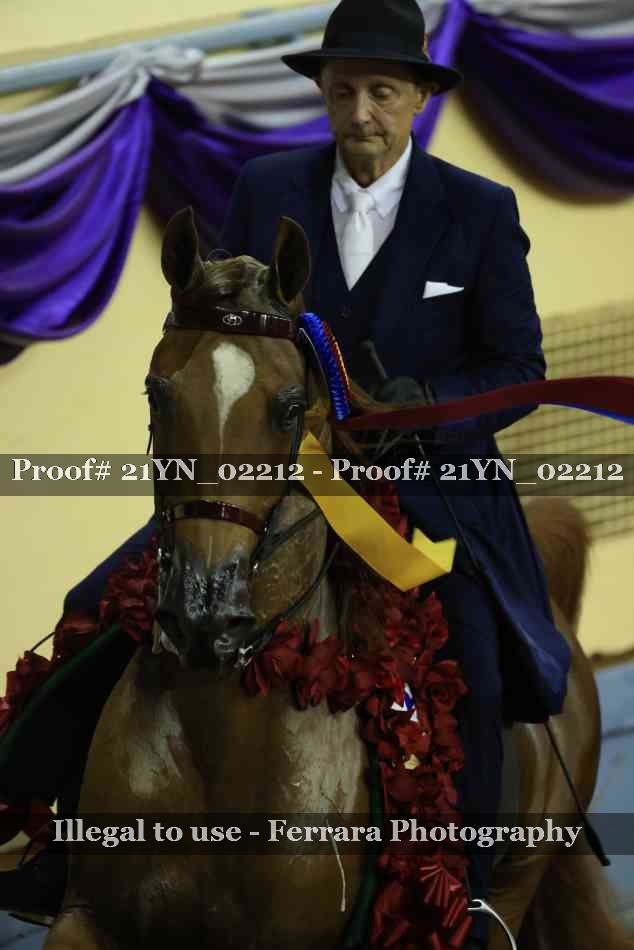 Proof 21YN_02212