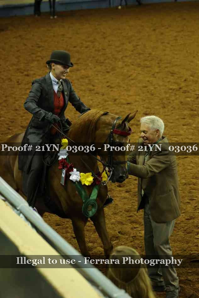 Proof 21YN_03036