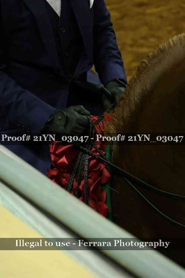 Proof 21YN_03047