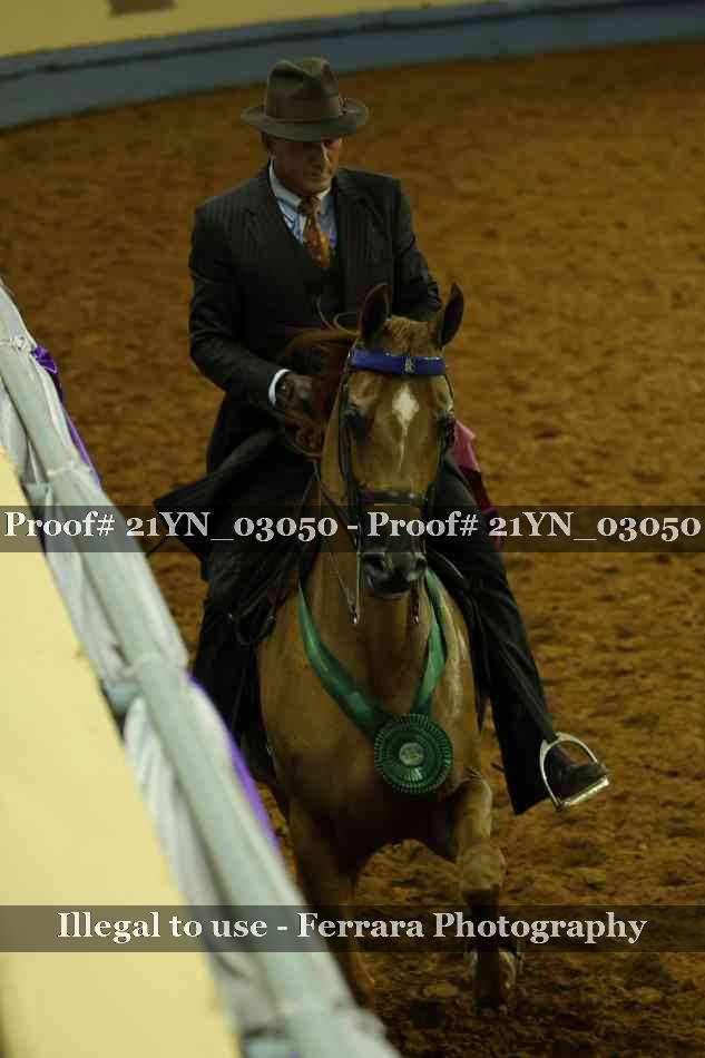 Proof 21YN_03050
