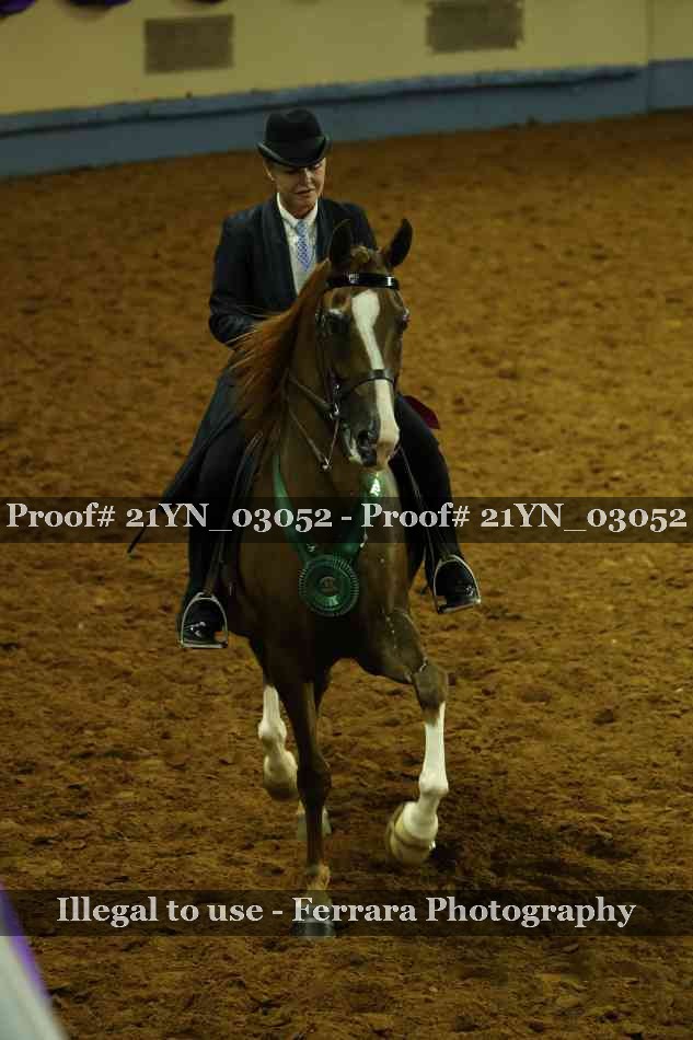 Proof 21YN_03052