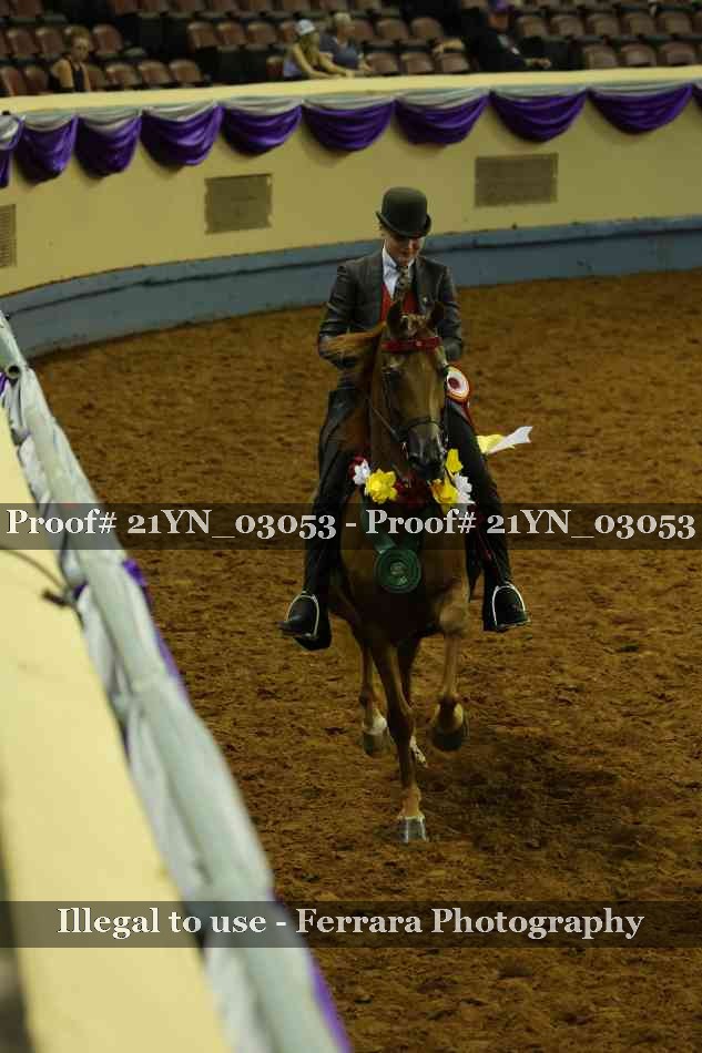 Proof 21YN_03053