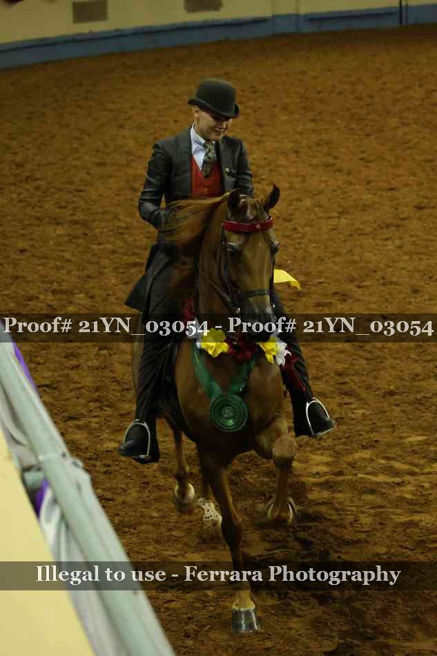 Proof 21YN_03054