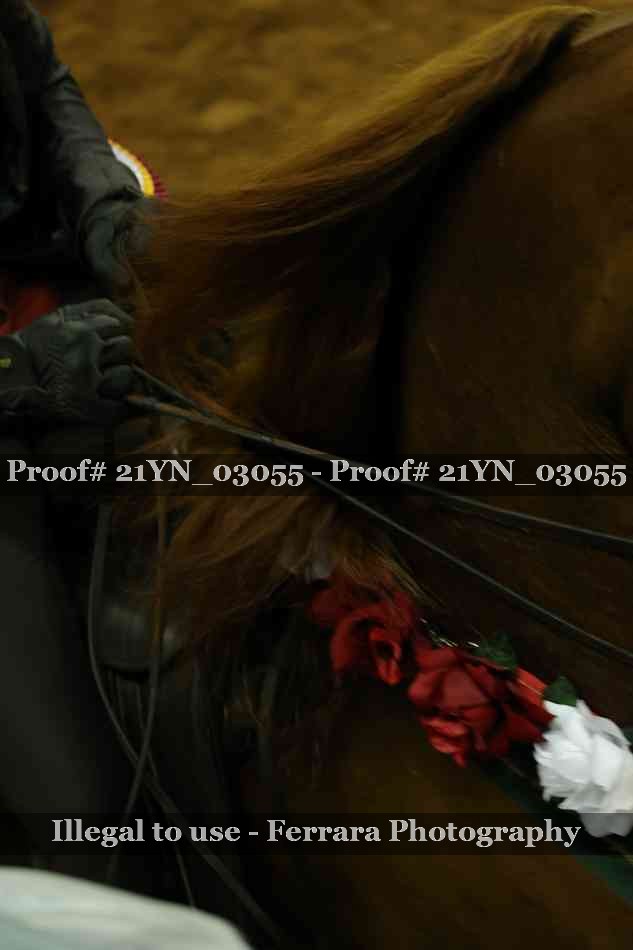 Proof 21YN_03055