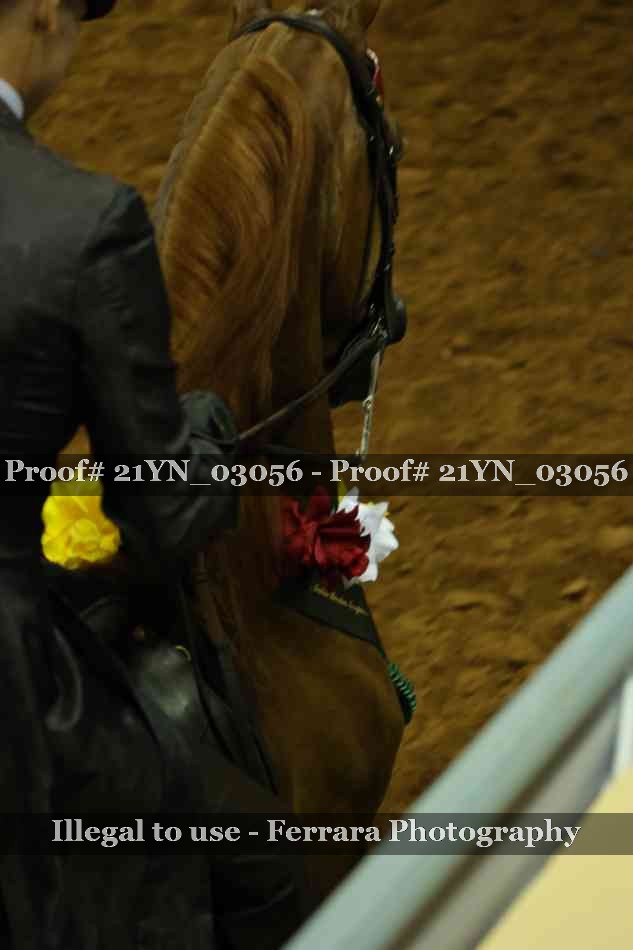Proof 21YN_03056