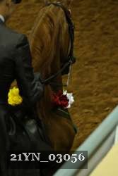 21YN_03056 proof