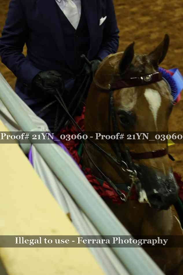 Proof 21YN_03060