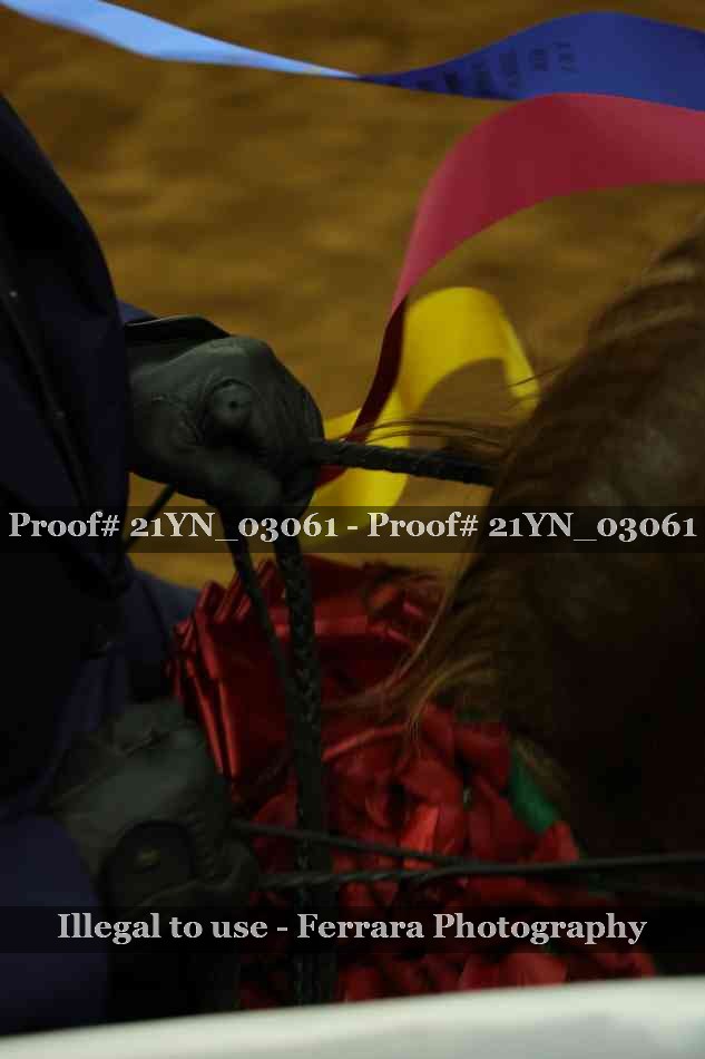 Proof 21YN_03061