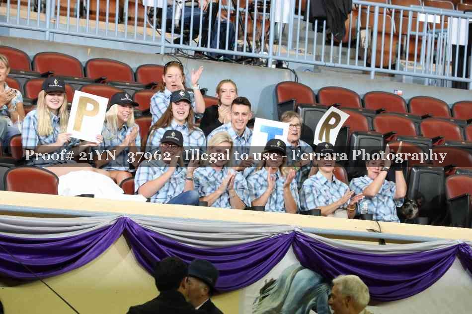 Proof 21YN_37962