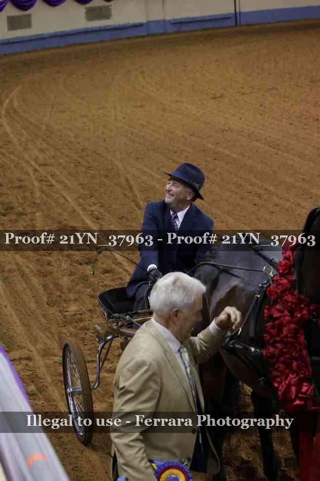 Proof 21YN_37963