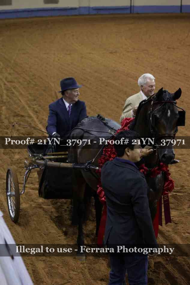 Proof 21YN_37971