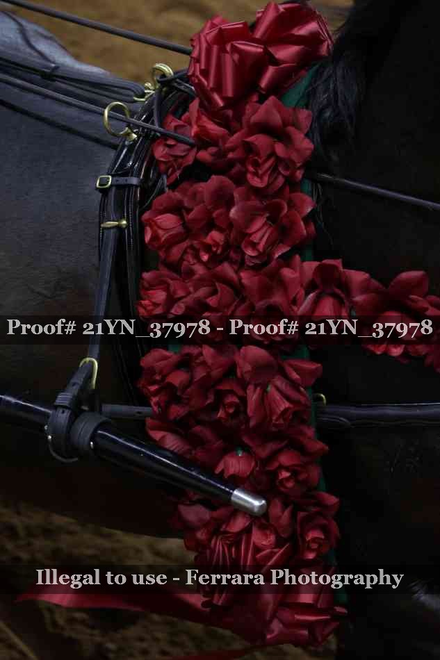 Proof 21YN_37978