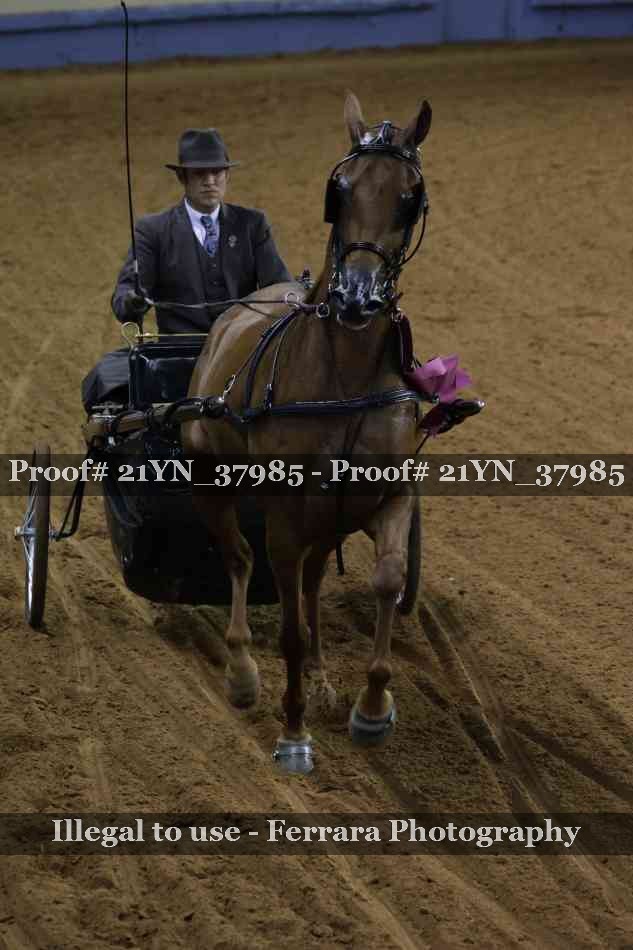 Proof 21YN_37985