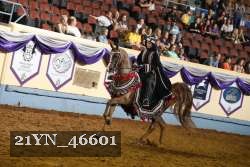 21YN_46601 proof