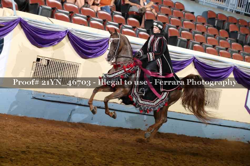 Proof 21YN_46703