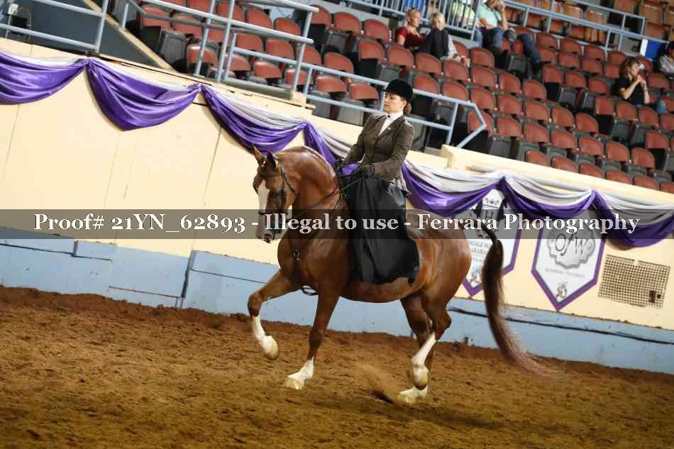 Proof 21YN_62893