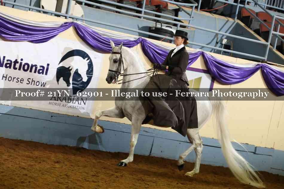 Proof 21YN_62901