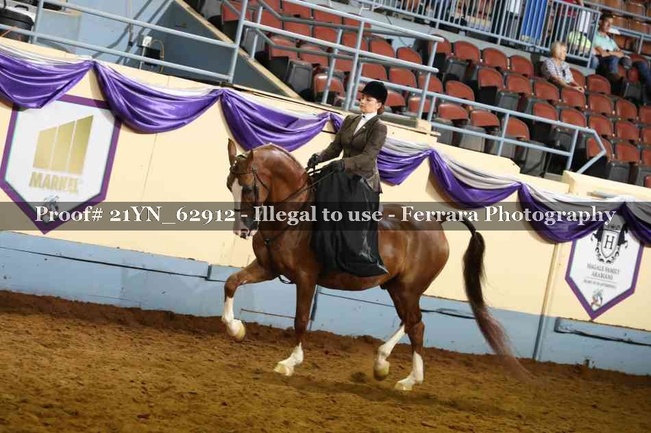 Proof 21YN_62912