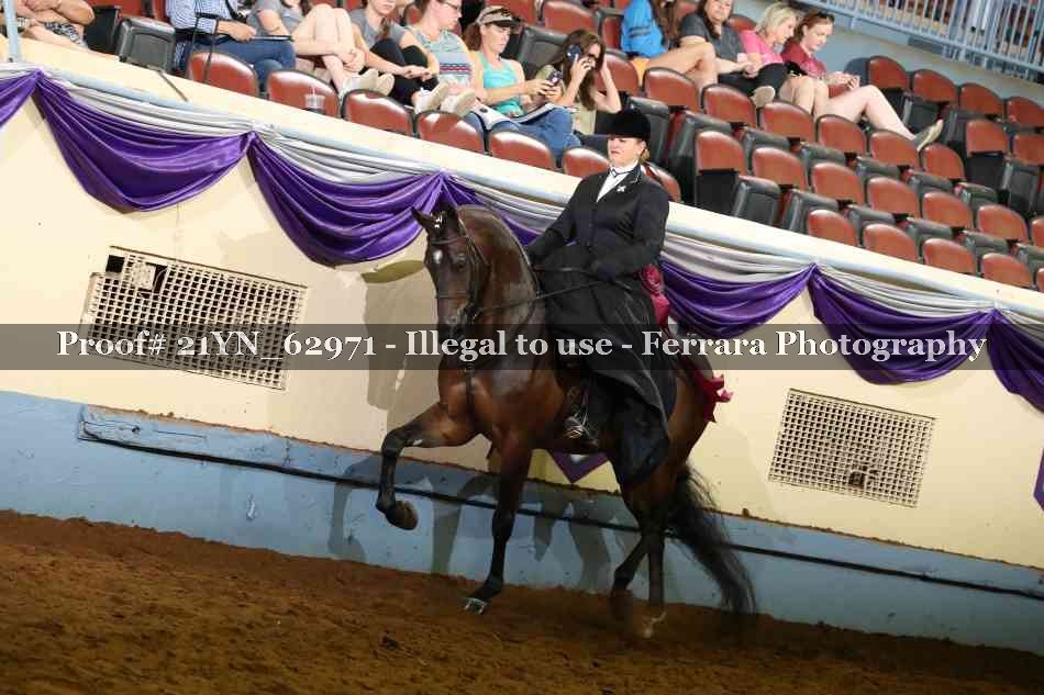 Proof 21YN_62971