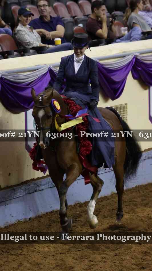 Proof 21YN_63003