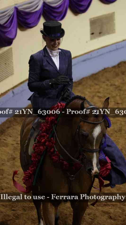 Proof 21YN_63006