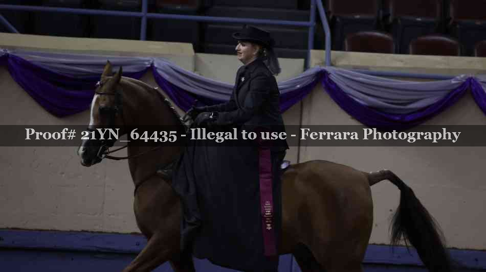 Proof 21YN_64435
