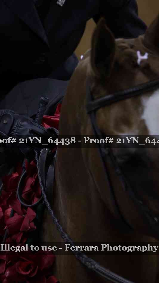 Proof 21YN_64438