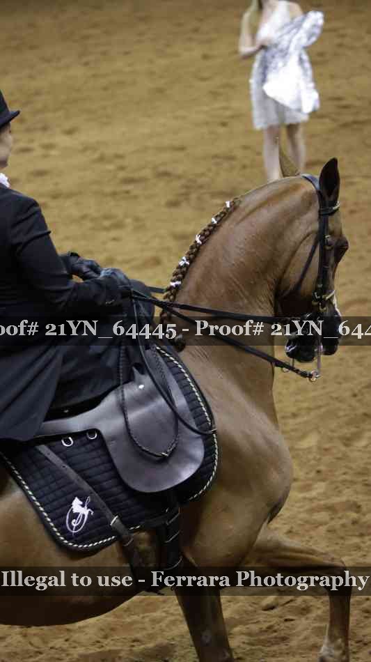 Proof 21YN_64445