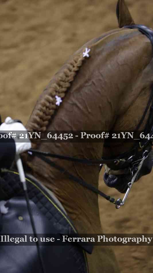 Proof 21YN_64452