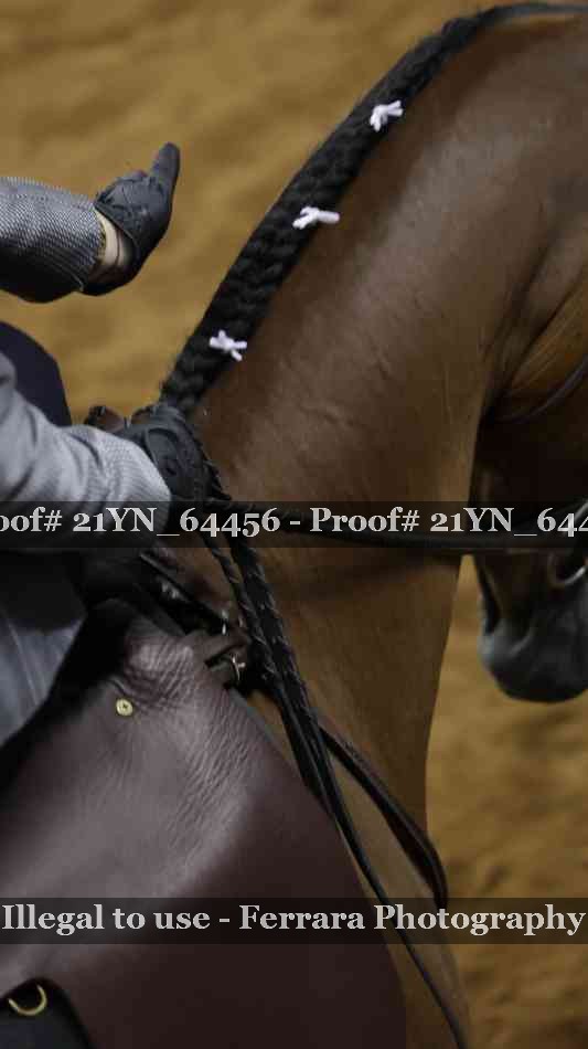 Proof 21YN_64456