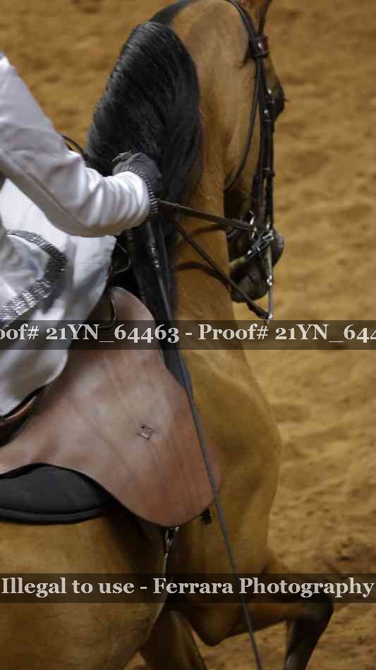 Proof 21YN_64463