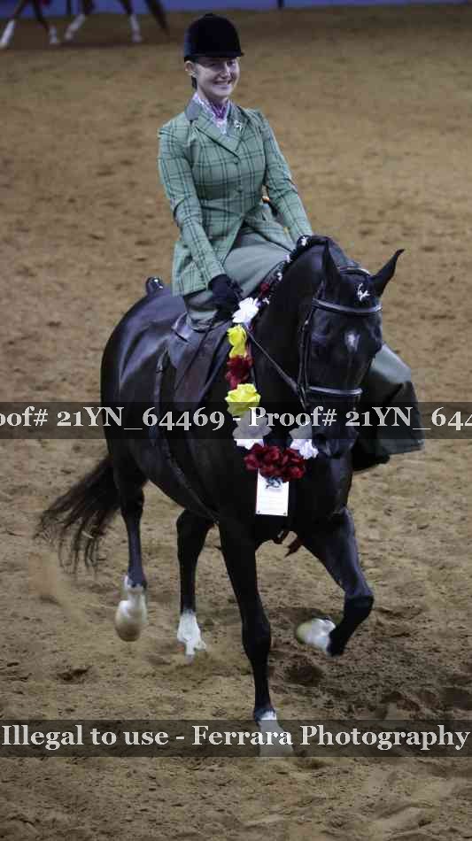 Proof 21YN_64469