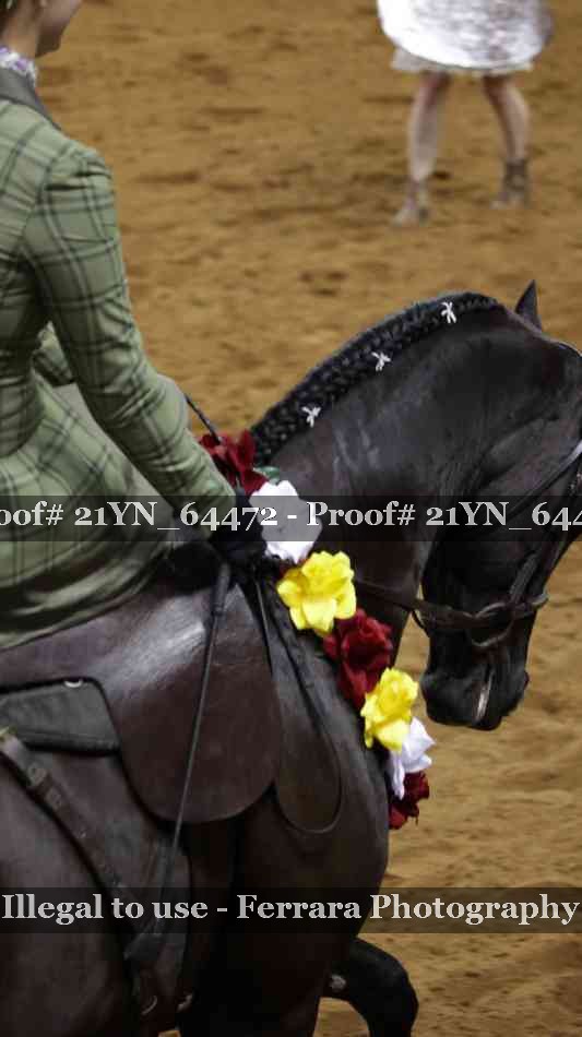 Proof 21YN_64472