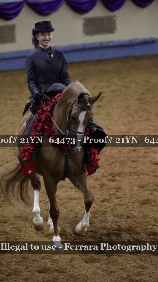 Proof 21YN_64473