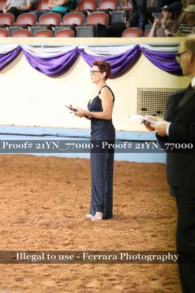 Proof 21YN_77000