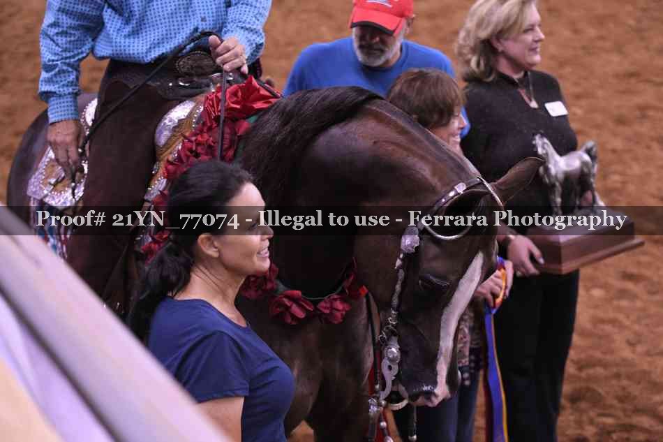 Proof 21YN_77074