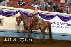 21YN_77116 proof