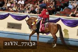 21YN_77132 proof