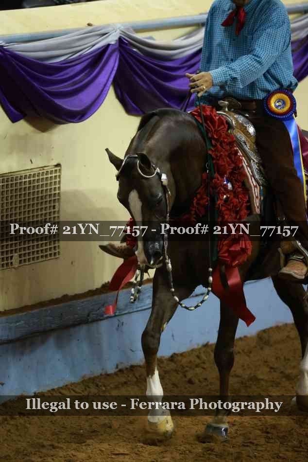 Proof 21YN_77157