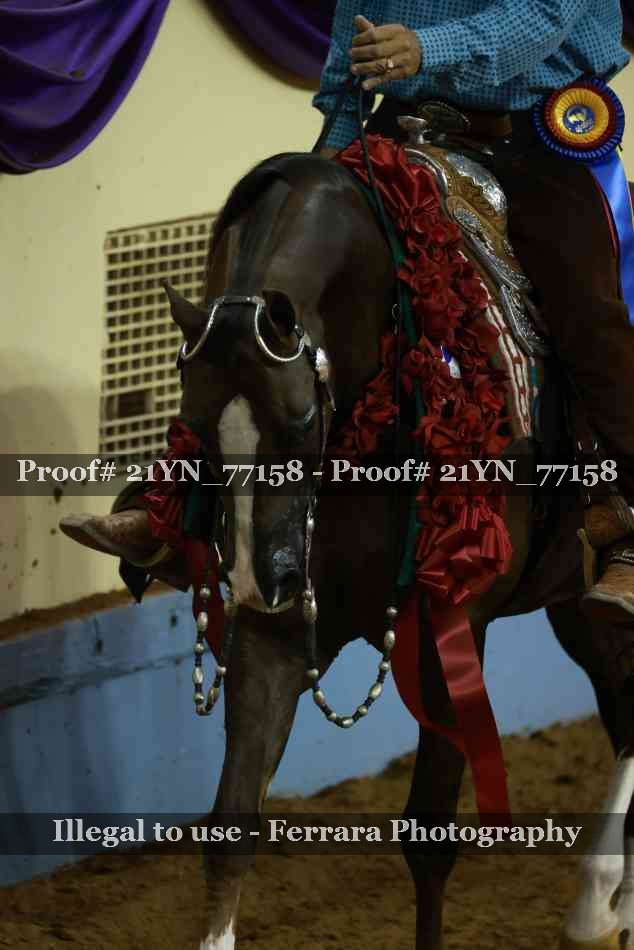 Proof 21YN_77158