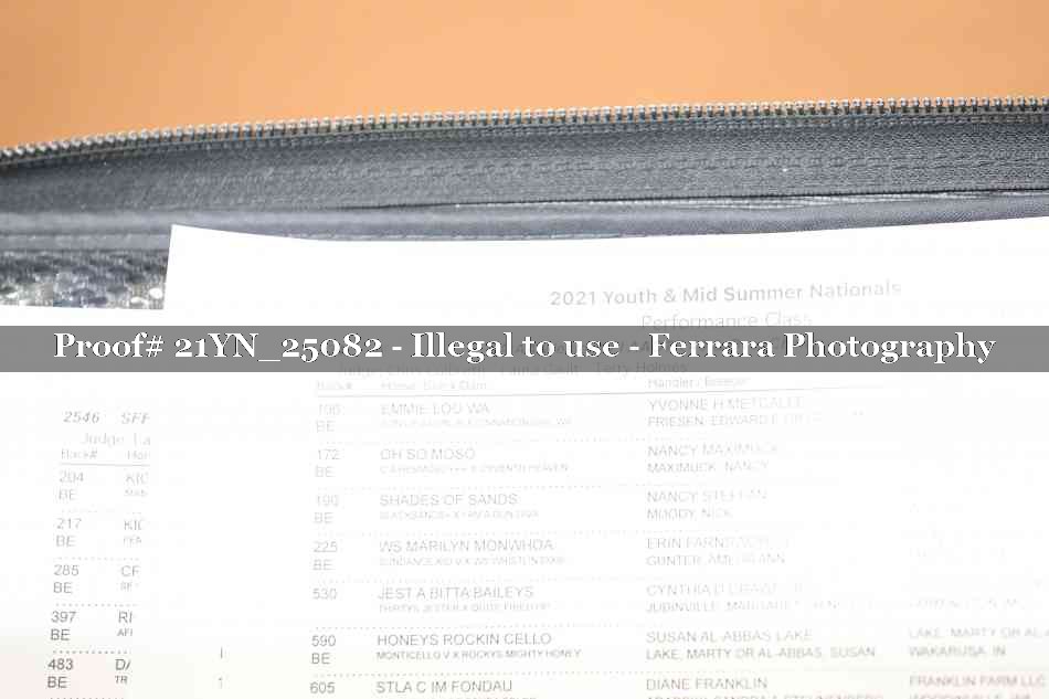 Proof 21YN_25082